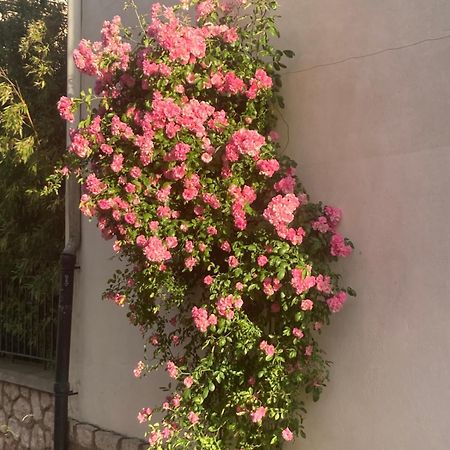 Bed and Breakfast Les 4 étoiles Montpellier Exterior foto