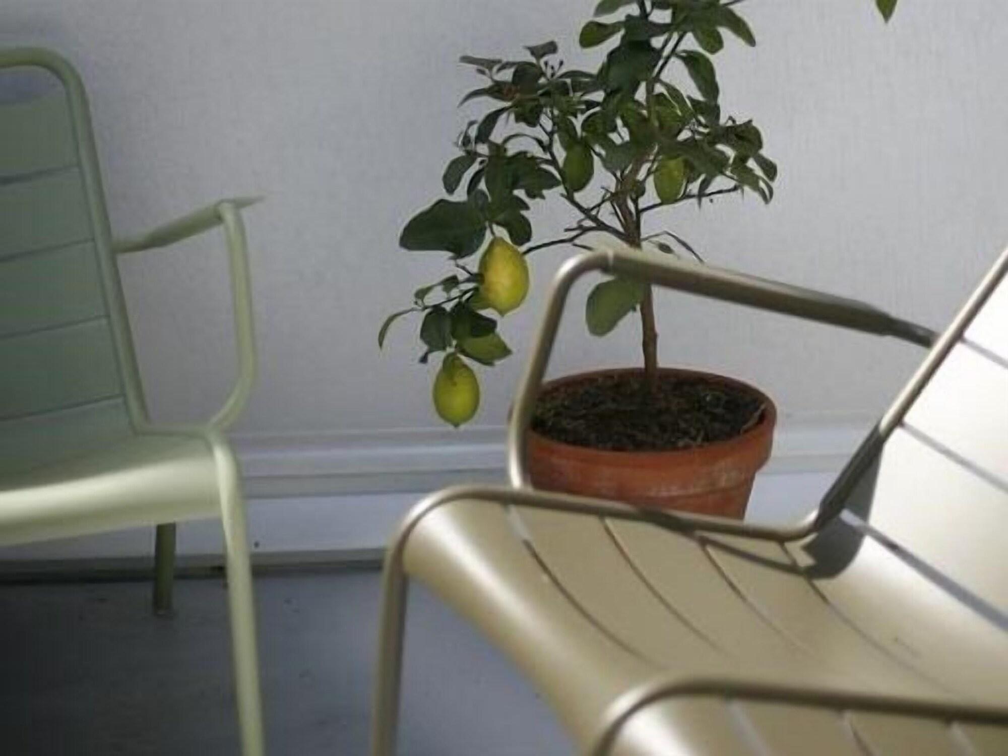 Bed and Breakfast Les 4 étoiles Montpellier Exterior foto