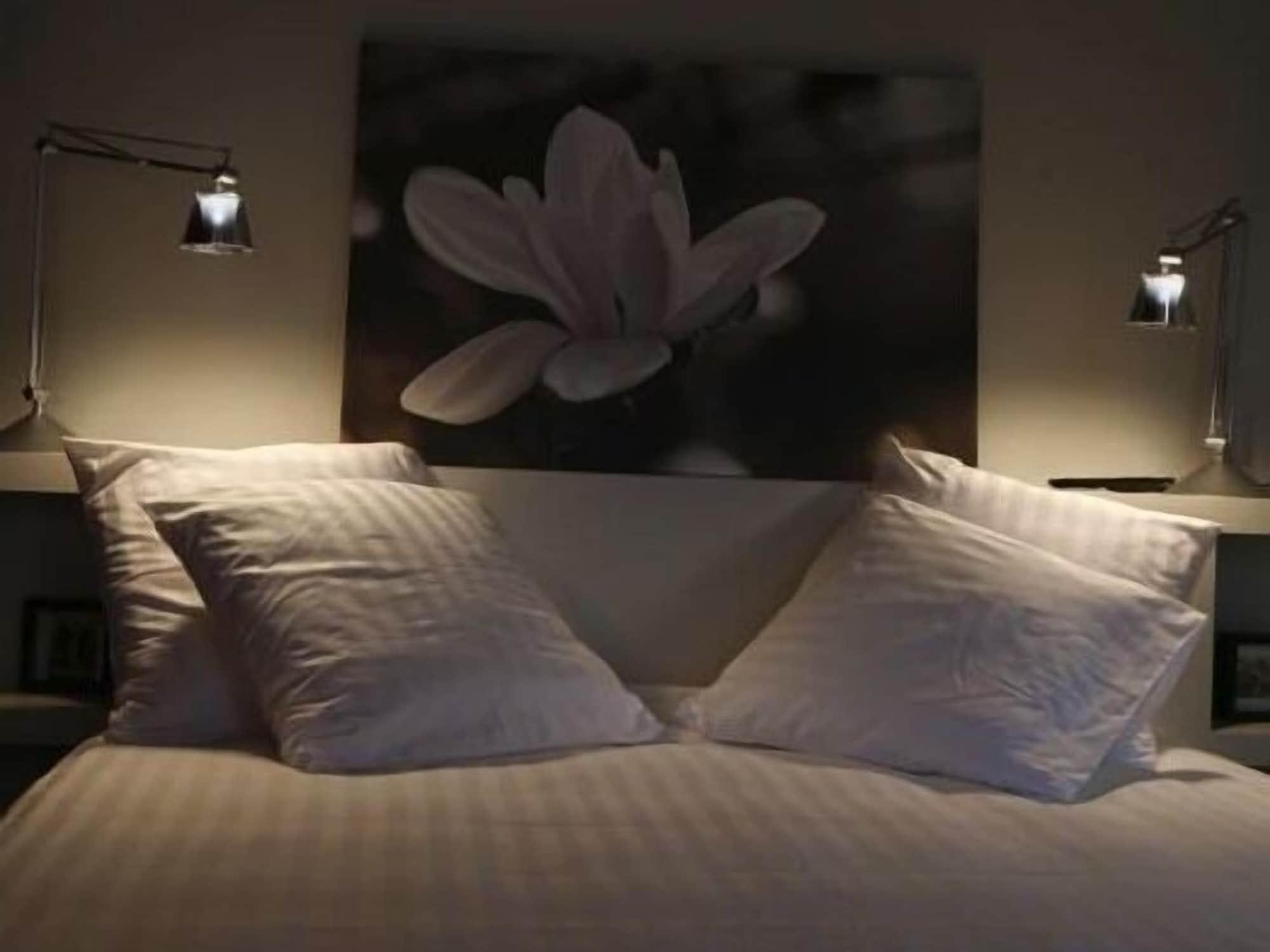 Bed and Breakfast Les 4 étoiles Montpellier Exterior foto