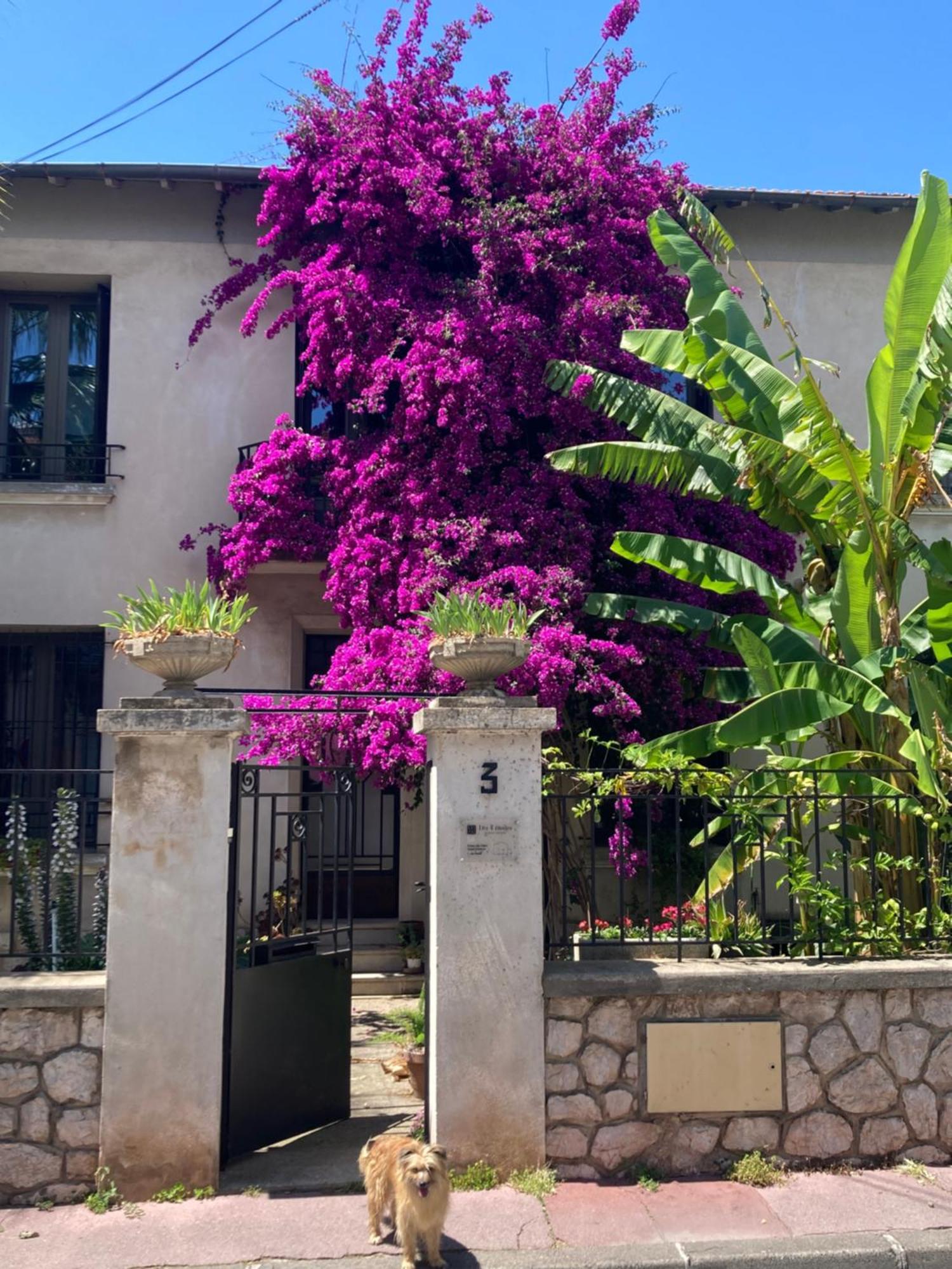 Bed and Breakfast Les 4 étoiles Montpellier Exterior foto