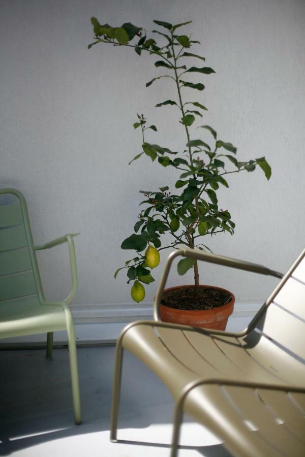 Bed and Breakfast Les 4 étoiles Montpellier Exterior foto